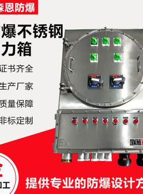 森恩bxmd防爆不锈钢弱电箱照明动力配电箱IIC检修插座控制箱IP65