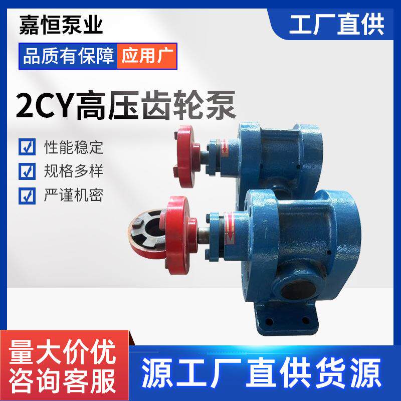 高温齿轮泵2CY1.08/2.52.1/2.53/2.5齿轮油泵渣油泵自吸泵头