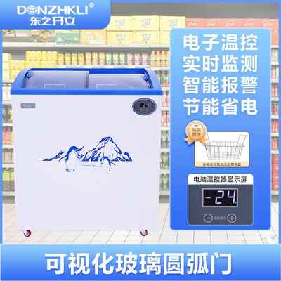 芙蕾米东之开立冷冻冷藏雪糕柜冷冻冰柜商用展示冰柜推拉玻璃门小冰柜床笠拉车