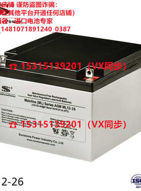S SunStonepower蓄电池AGM ML12-38 12V38AH免维护电池 原装进口