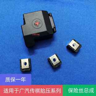 适用於广汽传祺GS4GS8埃安GE3GA6电瓶正极125保险丝150保险片300A