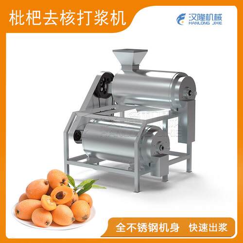 厂家供应大型不锈钢自动工业去皮去核双道打浆机出浆快枇杷打浆机