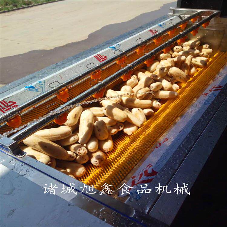 全自动毛辊清洗机海蛎子莲藕马铃薯红薯去皮不伤肉大型清洗机