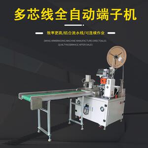 源头工厂全自动多芯线全自动端子机高速双头伺复端子压着机现货