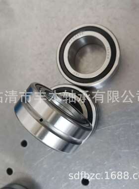 NAG4905 轴承尺寸 25x42x17 mm 滚针轴承 NAG 4905