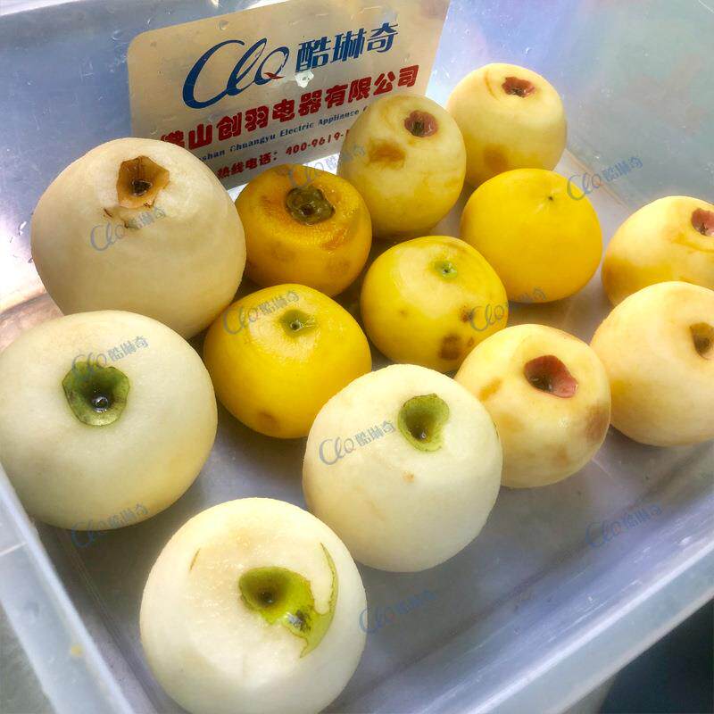 脆柿子削皮去皮设备水梨削皮机多种圆果均可刮皮水果董桃刨皮机