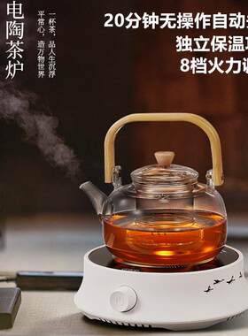 110V迷你电陶炉煮茶器家用小型烧水壶电茶炉玻璃茶具静音光波磁炉
