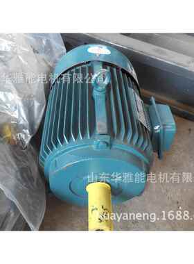 YE4-250M-4-55KW电机耐高温电机YE4电机带防雨罩确保法兰外径尺寸