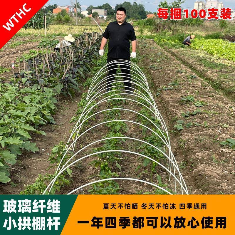 小拱棚支架拱杆竿大棚骨架内棚套棚菜棚保温棚玻璃纤维杆园艺农用