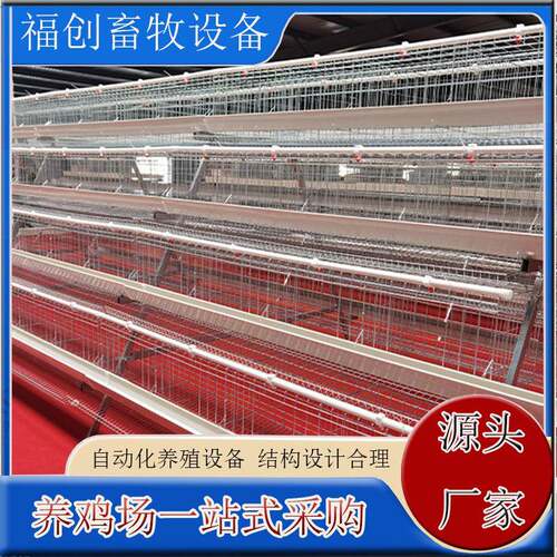 蛋鸡小鸡笼机械育雏四层立体式左右拉门加密镀锌丝水箱鸡舍养殖笼