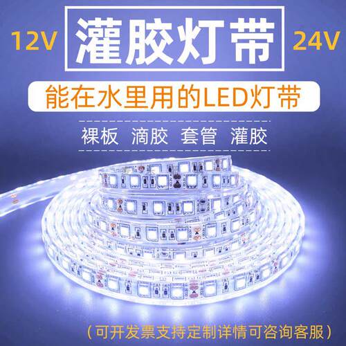 12V24v伏灌胶防水LED灯带室外水里低压灯条鱼塘泳池裸板滴胶套管