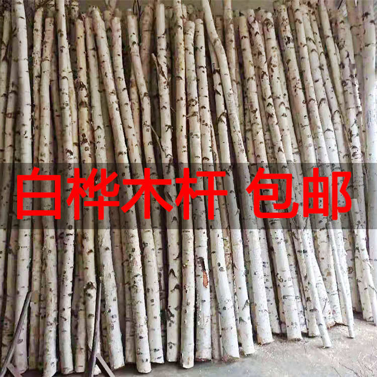 桦木树杆包邮桦木杆子天然白桦树装饰原木材婚庆橱窗隔断造景枯木