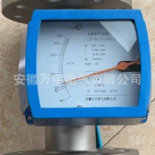 RRI Y10 Z金属管浮子流量计规格齐全 LZZ