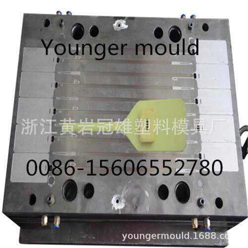 一次性塑料封条模具集装箱铅封物流车封条标牌扎带防调包封签模具
