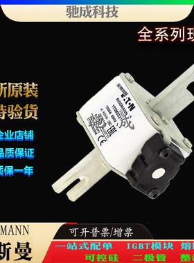 巴斯曼170M5314 170M5315 170M5316 厂家原装优价供应 原装熔断器