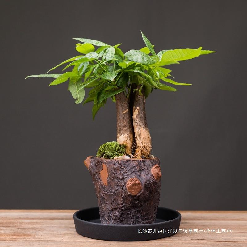 发树办玄公室装饰客厅简财约网红送礼陶瓷AUQ绿植盆景创意桌关面