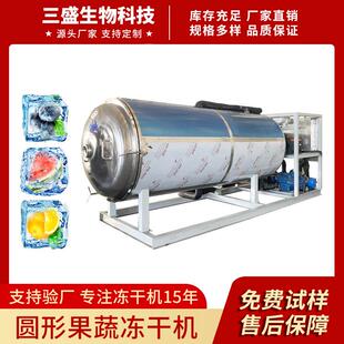 100平草莓蓝莓冻干机芒果苹果冻干设备大型水果蔬菜冷冻干燥机
