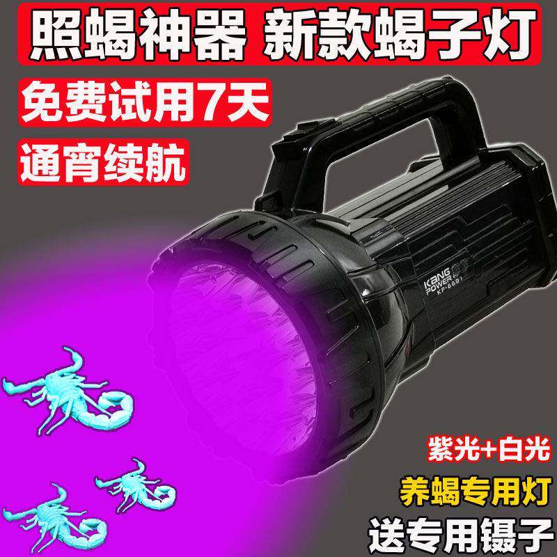 新款照蝎子灯专用强光超亮紫光手电筒蝎子灯户外头戴蝎子灯可充电
