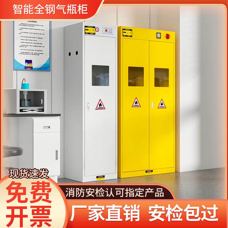 全钢防爆气瓶柜乙炔氮气氢气体智能钢瓶柜实验室双瓶煤气罐储存柜