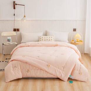 亲肤保暖加厚舒适双胎被可拆分为两床大豆春夏秋冬皆可使用双人被