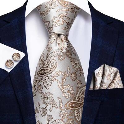 Hi-Tie Champagne Gold Striped Paisley Solid Men Silk Wedding