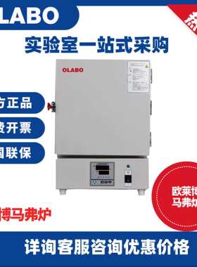 欧莱博OLABO SX2-4-10G箱式马福炉耐火砖炉膛电炉电阻炉马弗炉