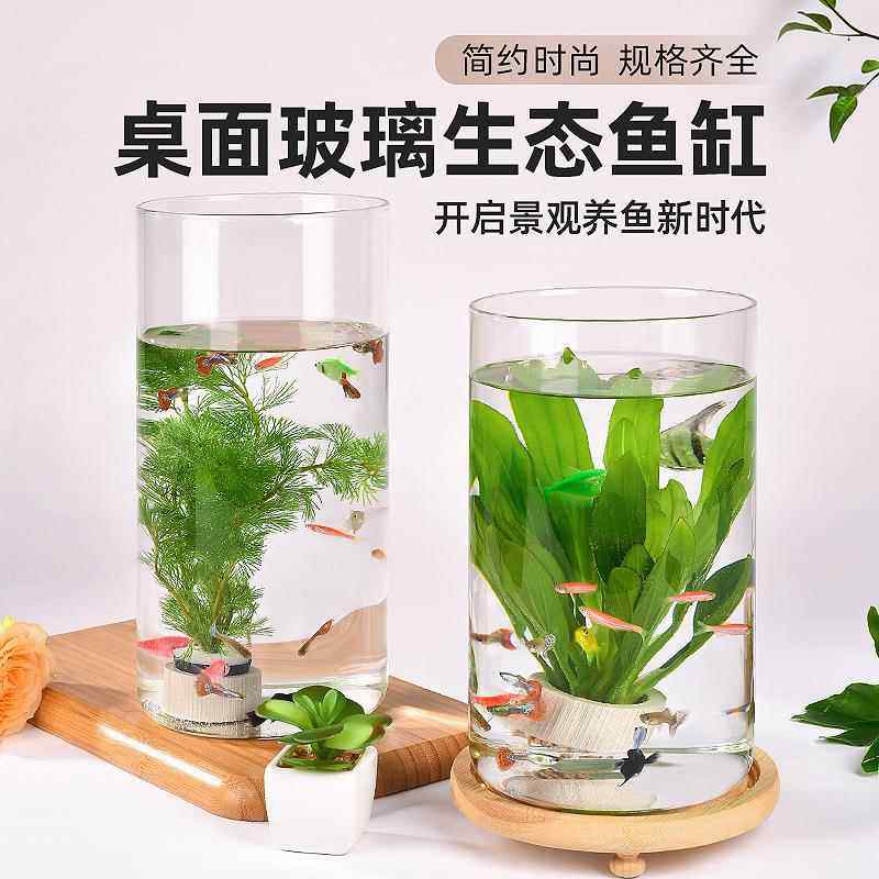 玻璃罐花瓶圆形简约高颜值生态瓶罐水草缸管制瓶微景观玻璃罩