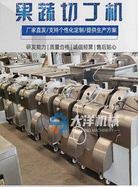 QD600型洋葱切丁机一次成型 全自动水果切丁设备不锈钢蔬菜切丁机