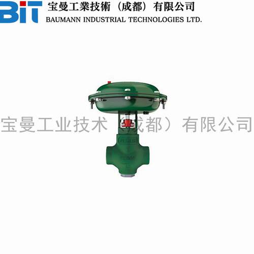 艾默生Fisher费希尔D2T FloPro控制阀洗涤器倾卸阀气体分离器