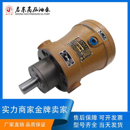 启东高压油泵精工牌YCY/Y/PCY/SCY14-1B轴向柱塞泵定量液压泵