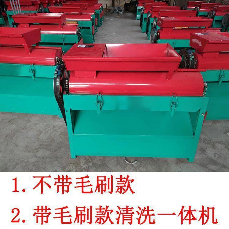 青核桃脱皮机家用青核桃去皮机鲜核桃扒皮清洗一体机青核桃剥皮机