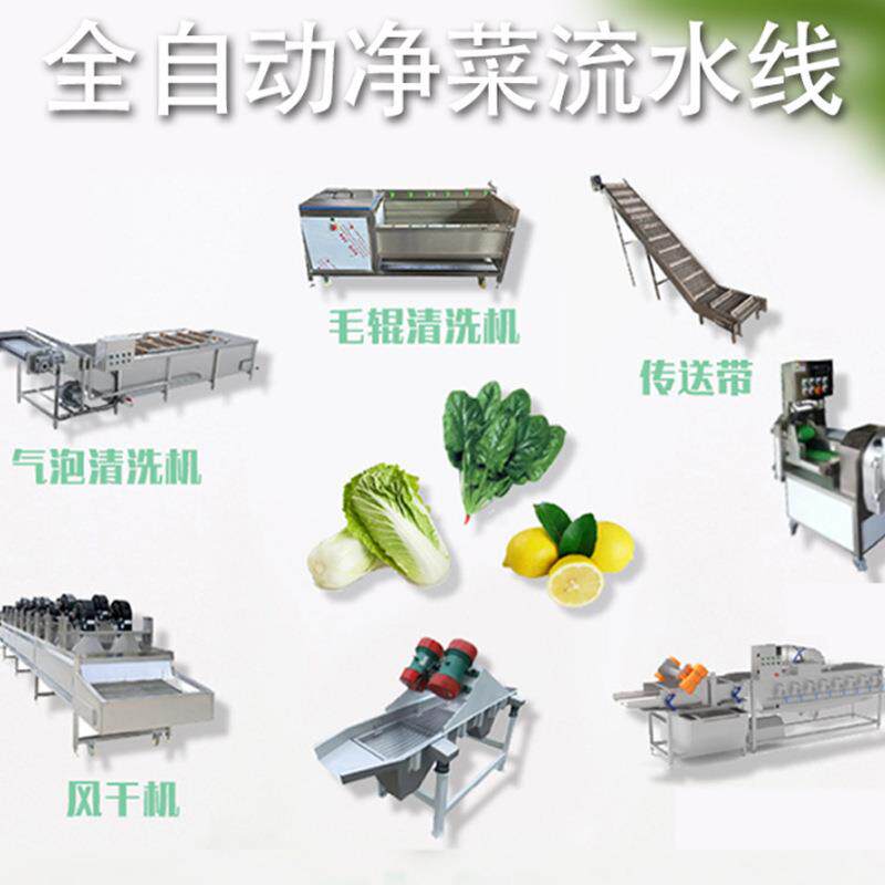 商用气泡清洗机辣椒西红柿净菜加工流水线生菜油菜全自动清洗设备