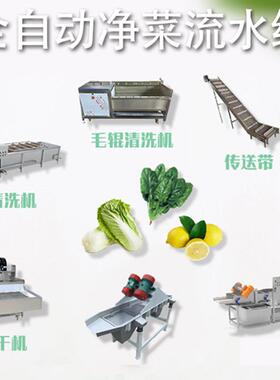 商用泡清洗机柿辣椒西红净菜气工流水线生菜油菜加全自动清洗ITZ