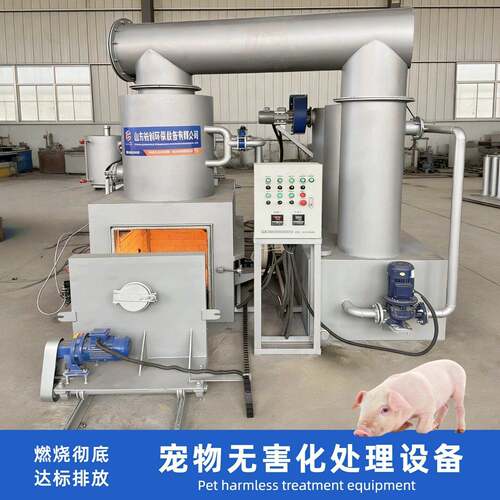宠物尸体火化炉病死动物无害化处理厂家直销动物尸体焚烧炉