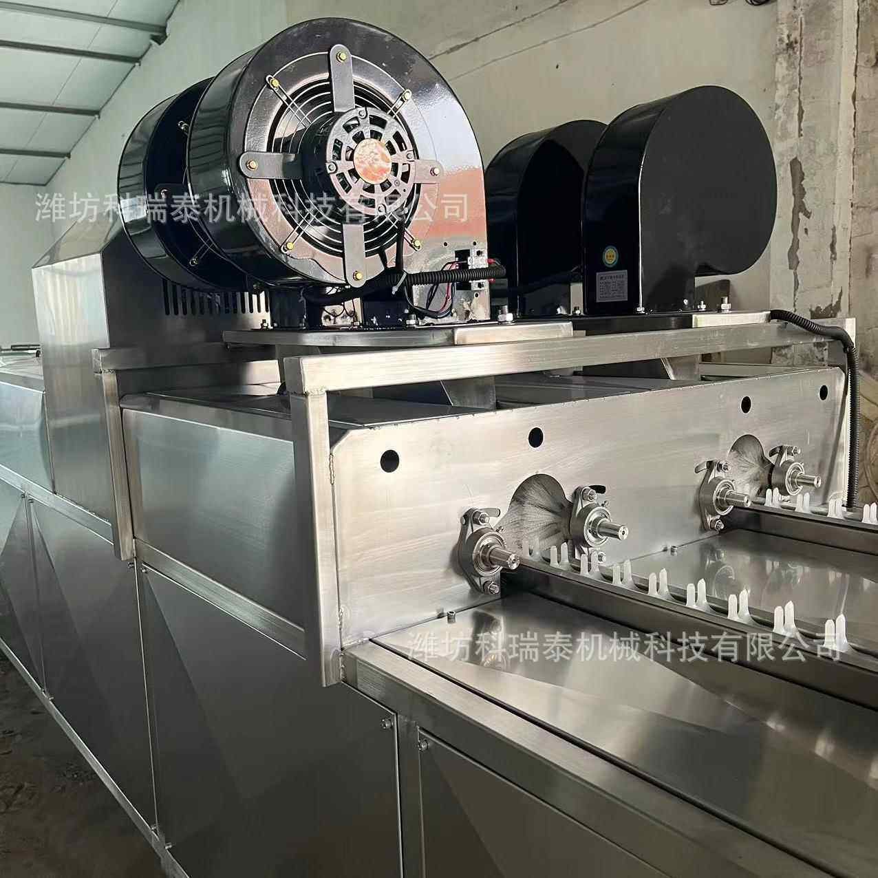 BFV水洗鸡蛋机排器 三循环水洗洗蛋机中小型全自动鸡自蛋清机 动