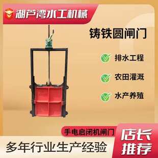 一体大型闸板水利工程平板铸铁钢制闸闸门水库机闸门渠道门启闭机