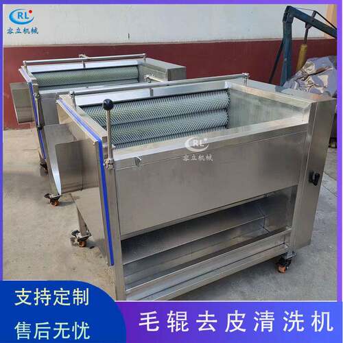 现货刺梨清洗机毛刷式诺丽果红李清洗设备全自动百香果清洗机