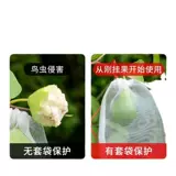 Сетка для защиты от насекомых, сумка для защиты от насекомых, защита от дыни и фруктовых мух, сумка для защиты от птиц, фильтр, упаковка для грейпфрута, пропитанная семенами, нейлоновая сетчатая сумка