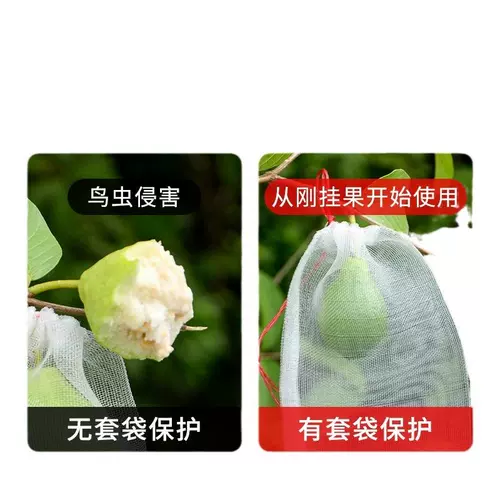 Сетка для защиты от насекомых, сумка для защиты от насекомых, защита от дыни и фруктовых мух, сумка для защиты от птиц, фильтр, упаковка для грейпфрута, пропитанная семенами, нейлоновая сетчатая сумка