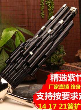 紫竹笙乐器专业初学者14簧方笙17簧21簧圆笙降降调扩音笙