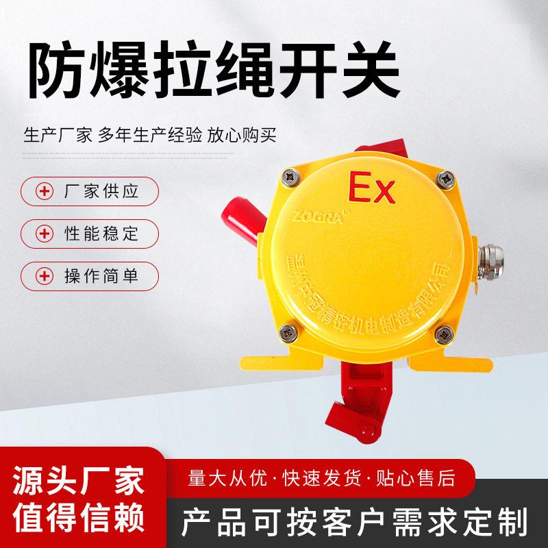 皮带输送机安全事故急停拉线拉绳开关防爆拉绳开关手动