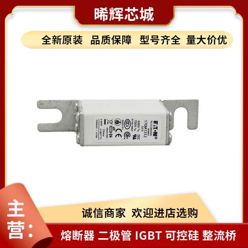 170M1313 170M1312 电子元器件 库存充足 型号齐全快速熔断器直供