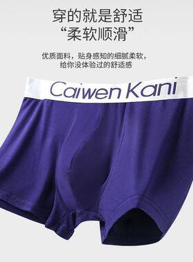 men underwear cotton boxers men briefs shorts underpants