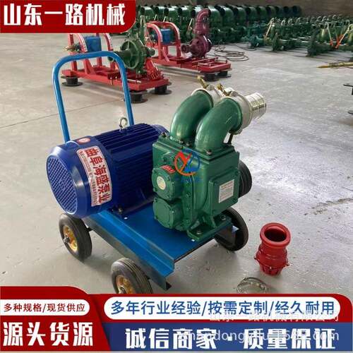 5.5kw电机推车式抽粪泵3寸口径泥浆泵直吸直排污水处理水泵