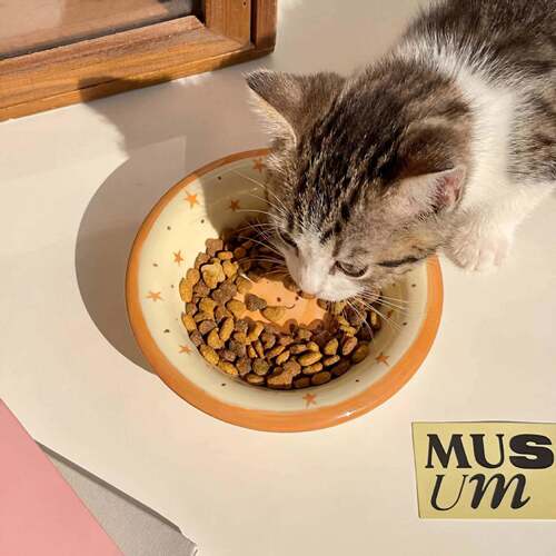 卡通陶瓷猫碗猫食盆护颈防打翻狗碗狗盆宠物碗猫咪喝水碗迷你饭碗