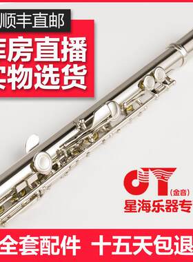 金音长笛16闭孔镀银长笛C调带E键JYFL-E150s长笛乐器