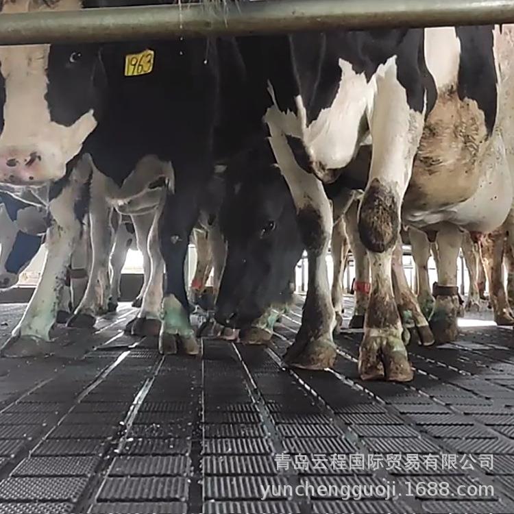 长颈鹿梅花鹿奶牛马匹肢蹄类动物专用防滑胶板 耐磨保温动物园用