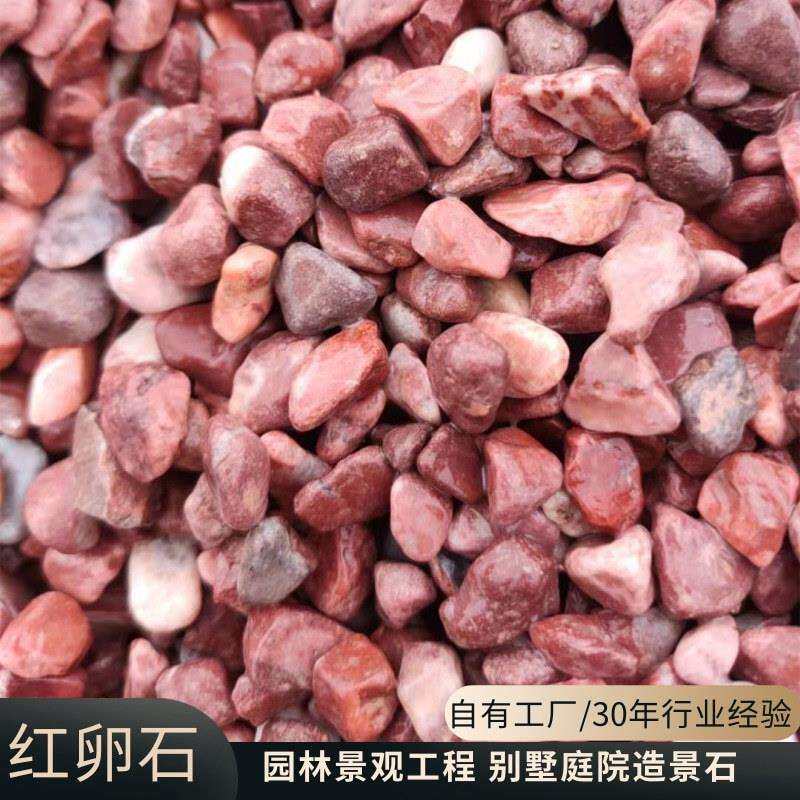 红石子厂家铺路红色石子外墙胶粘石鱼缸园林造景用园艺水洗石
