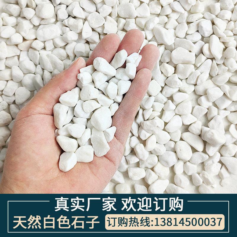 庭院阳台枯山水鹅卵石白色石头白玉石小白石子雨花石多肉铺面石子