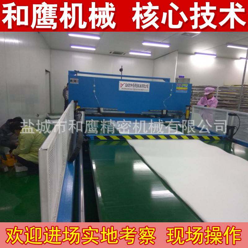 液压裁断机双边皮带裁断机厂家供应全自动机械手臂液压裁断机